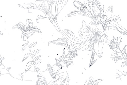 Tapeta nádherná lilie v bílém provedení - 75x1000 cm