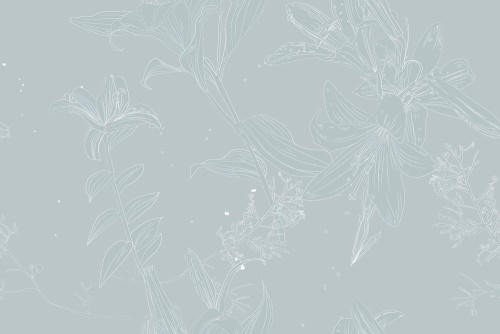 Samolepící tapeta něžná lilie - 75x1000 cm
