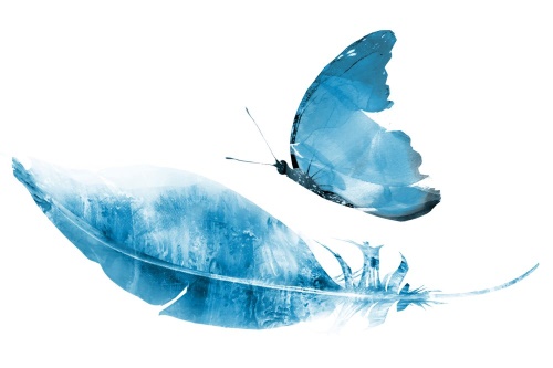 Samolepící tapeta pírko s motýlem v modrém provedení
