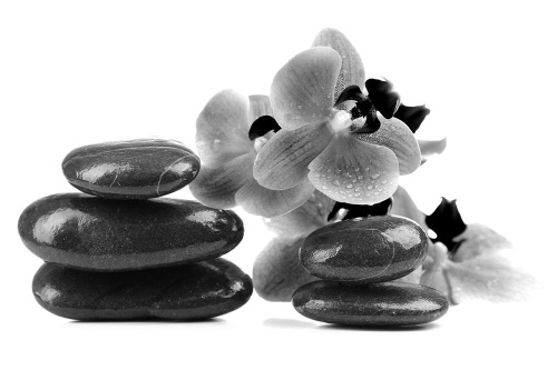 Tapeta orchidej a černobílé kameny