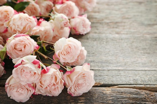 Samolepící fototapeta romantické růže