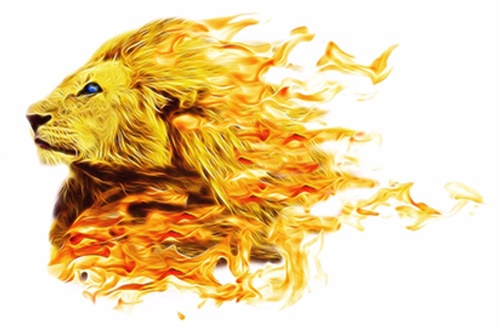 Samolepící tapeta ohnivý lev