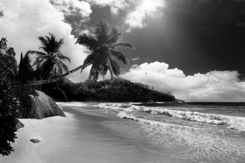 Samolepící fototapeta pláž na ostrově Seychely v černobílém