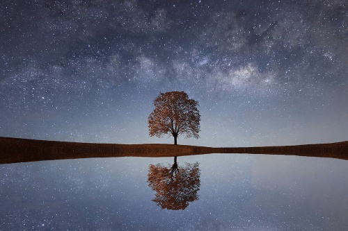 Samolepící fototapeta hvězdná obloha nad osamělým stromem