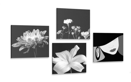 Set obrazů elegance ženy a květin v černobílém provedení