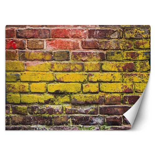 Fototapeta, Stará barevná cihlová zeď
