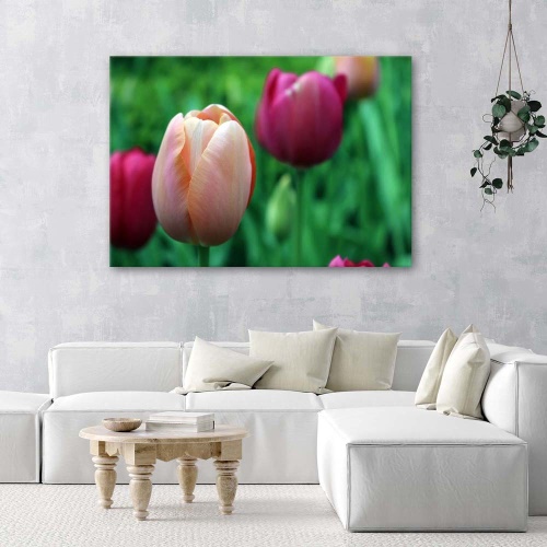 Obraz na plátně Tulipán růžový květ