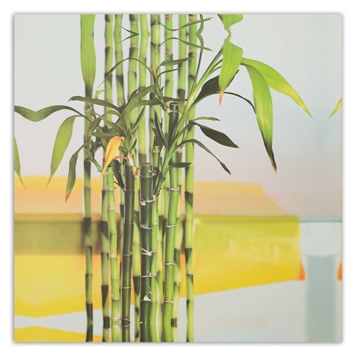 Obraz na plátně Bambusové listy Zen Spa