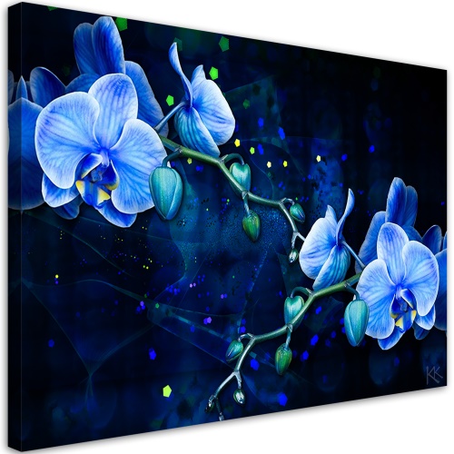 Obraz na plátně, Modrý orchidej