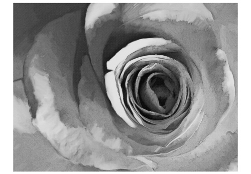 Fototapeta - Paper rose