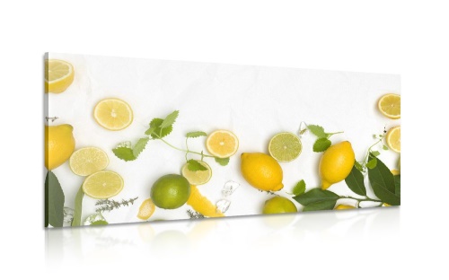 Obraz mix citrusových plodů