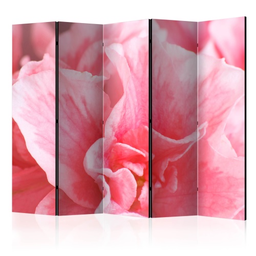 Paraván - Pink azalea flowers II [Room Dividers]