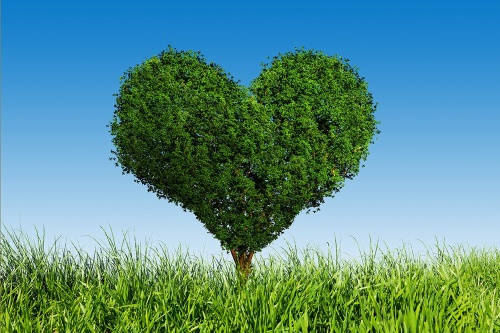 Tapeta strom ve tvaru srdce