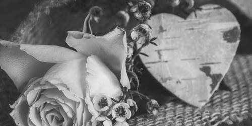 Obraz růže a srdíčko ve vintage černobílém provedení