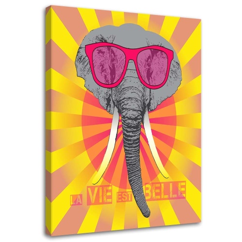 Obraz na plátně, Barevný slon s brýlemi