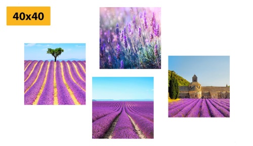 Set obrazů levandulové pole
