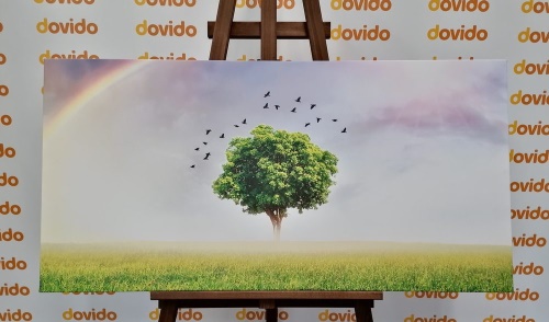 Obraz osamělý strom na louce
