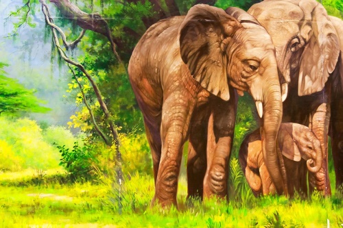 Samolepící tapeta sloní rodinka