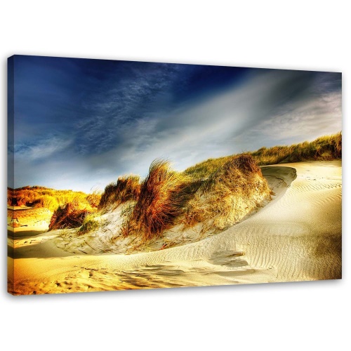 Obraz na plátně Písečná pláž Dunes