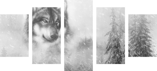 5-dílný obraz vlk v zasněžené krajině v černobílém provedení