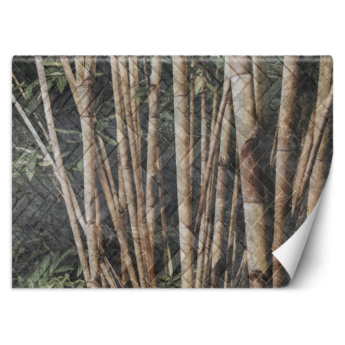 Fototapeta, Bambusový les