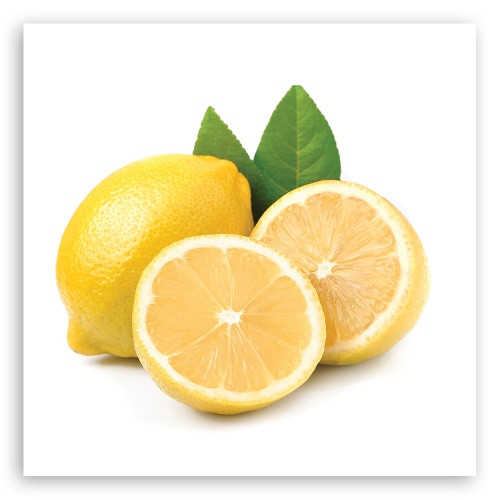 Obraz na plátně, Citron ovoce