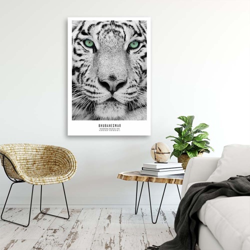Obraz na plátně Afrika Tygr Zvířata