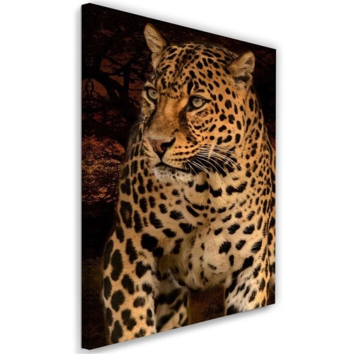 Obraz na plátně Leopardí zvířata Příroda