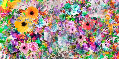 Obraz pestrobarevné květiny