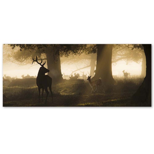 Obraz na plátně, Jelen v lese Fog Brown