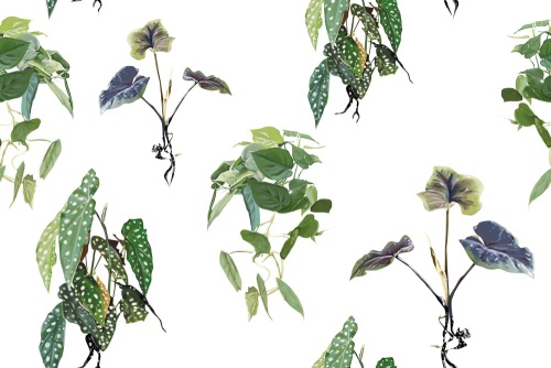 Tapeta půvabné zelené listy - 75x1000 cm