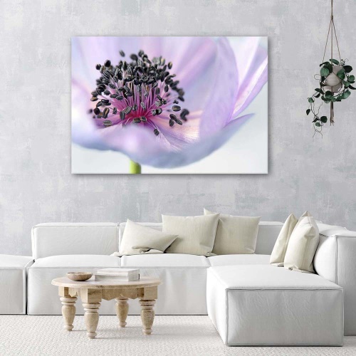Obraz na plátně Fialová květina Příroda Makro