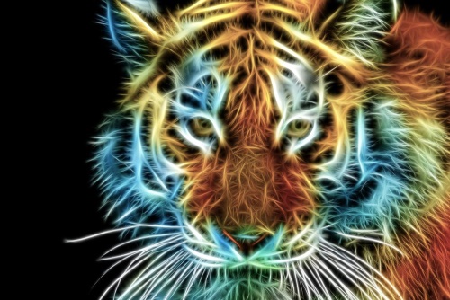 Obraz hlava tygra v abstraktním provedení