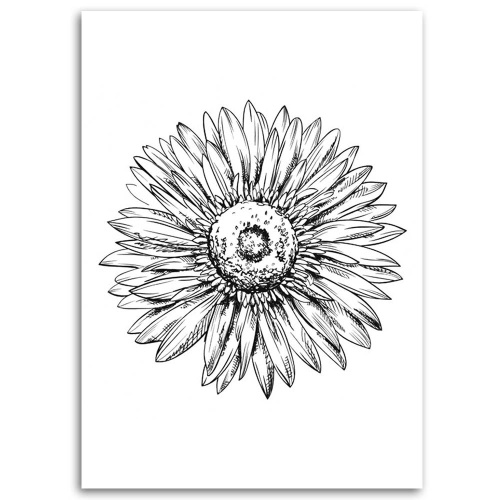Obraz na plátně Černobílá skica květin