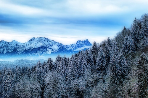 Fototapeta zamrzlé hory