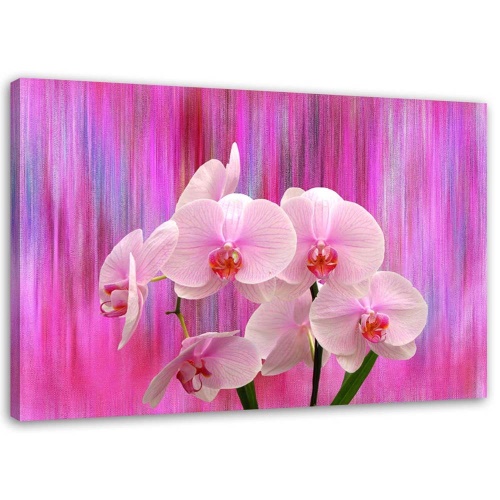 Obraz na plátně Orchidej růžová Přírodní rostliny