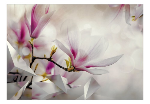 Fototapeta - Subtle Magnolias - Third Variant