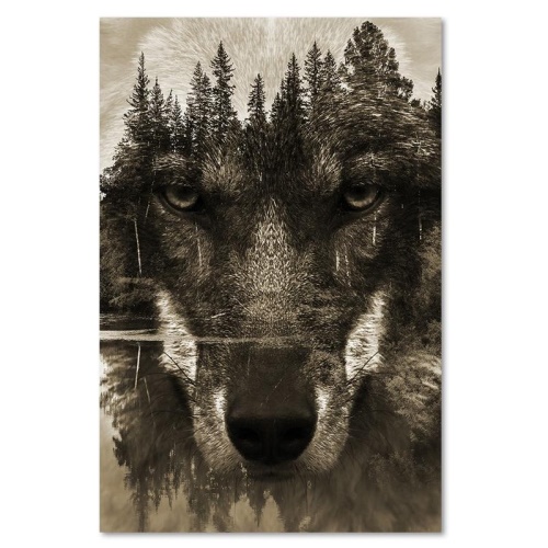Obraz na plátně Vlk Černá zvířata