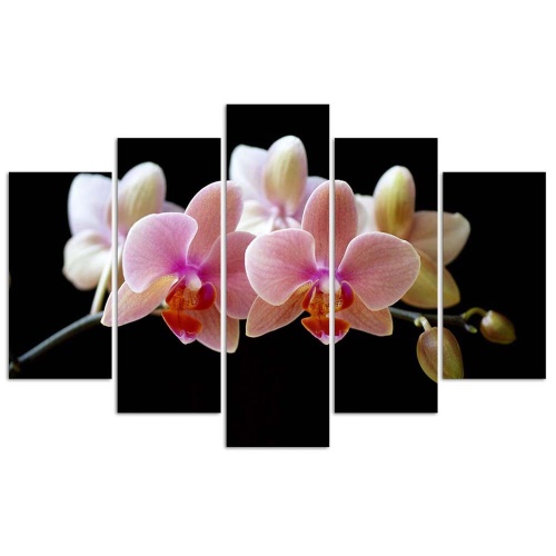 Obraz na plátně pětidílný Růžová orchidej