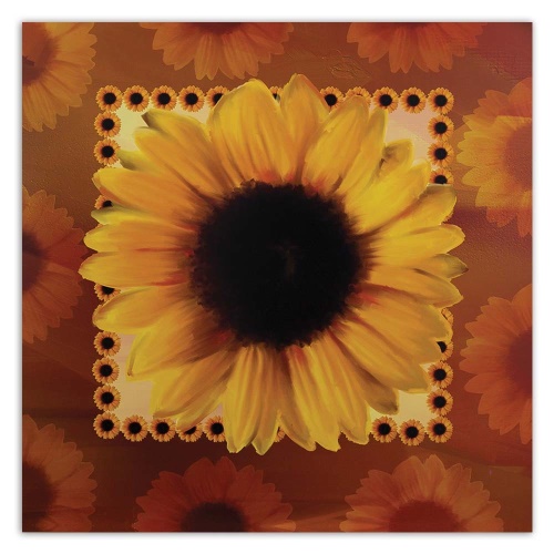 Obraz na plátně Příroda slunečnic