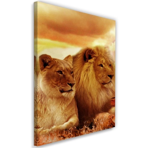 Obraz na plátně Lev Zvířata Afrika