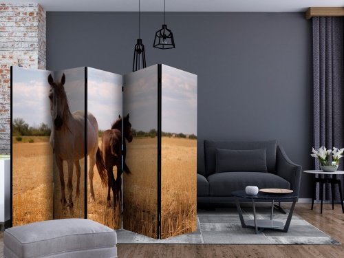 Paraván - Horse and foal II [Room Dividers]