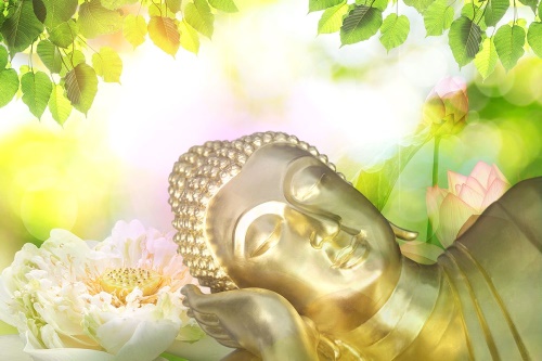 Samolepící tapeta spící Budha