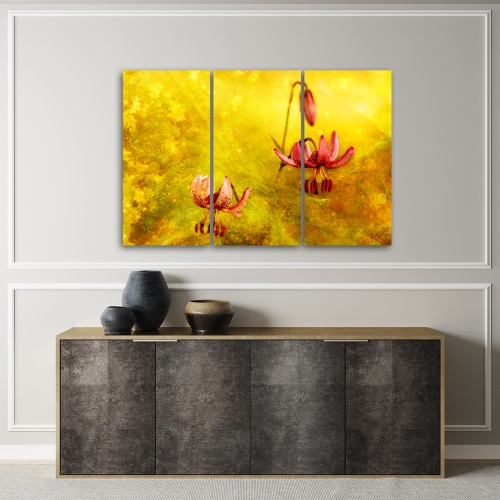 Obraz na plátně třídílný, Zaskacené tulipásy květin
