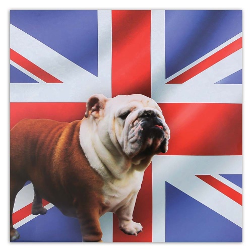 Obraz na plátně Bulldog Dog Anglická vlajka