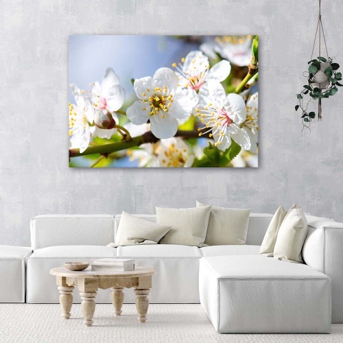 Obraz na plátně Jabloň Květina Příroda