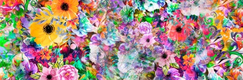 Obraz květiny v pestrobarevném provedení