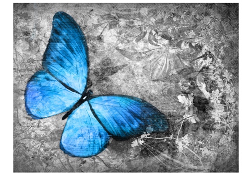 Fototapeta - Blue butterfly