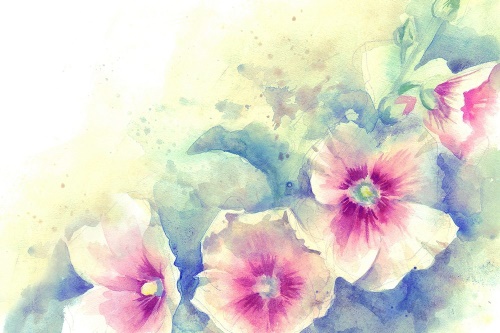 Tapeta akvarelová ilustrace květin