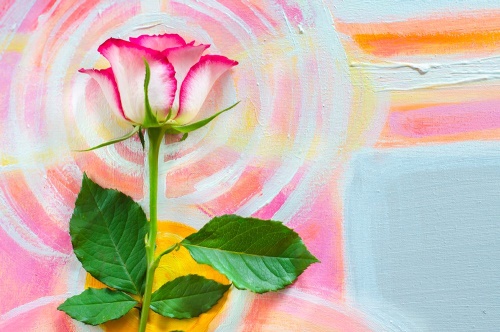 Samolepící fototapeta růže na malířském plátně
